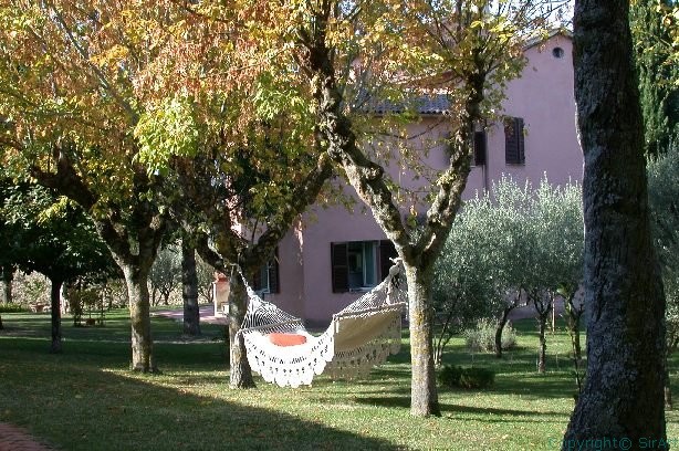 Al Casale