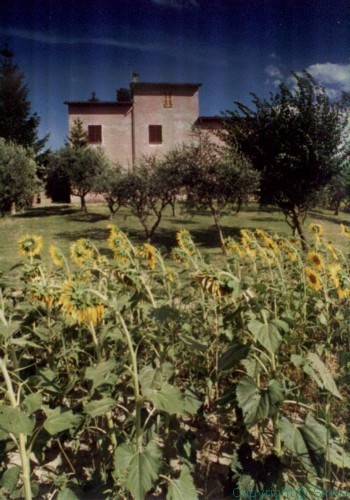 Al Casale